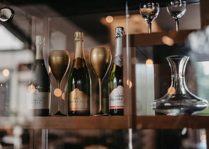 Terme - Terme Catez 4* チャテジ・オプ・サヴィ