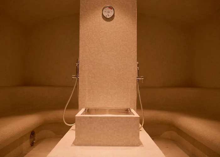 Hotel Terme - Terme Catez Catez ob Savi